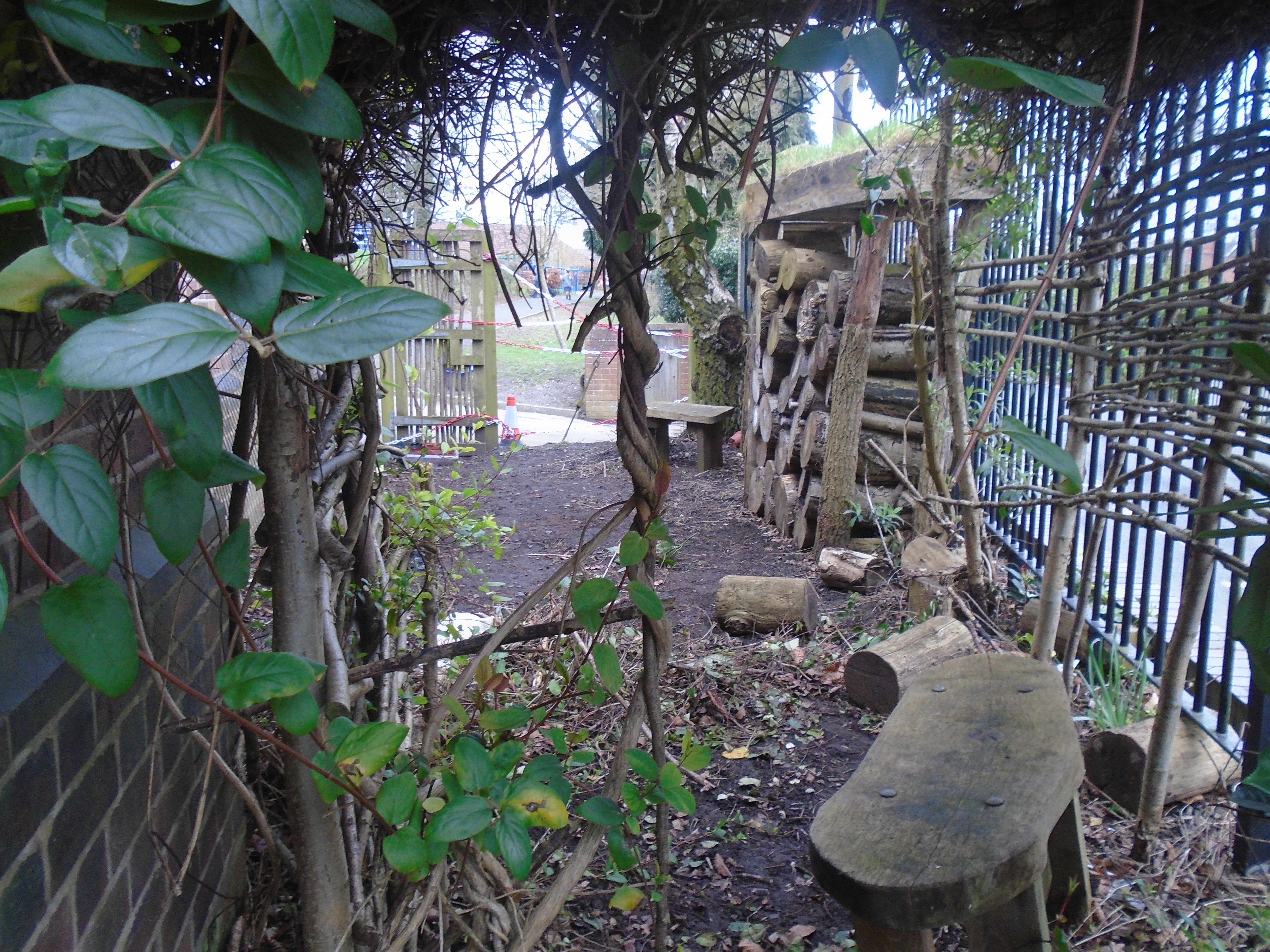 DSC01794.JPG